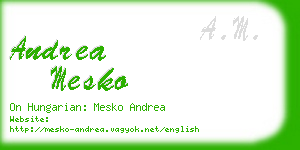 andrea mesko business card